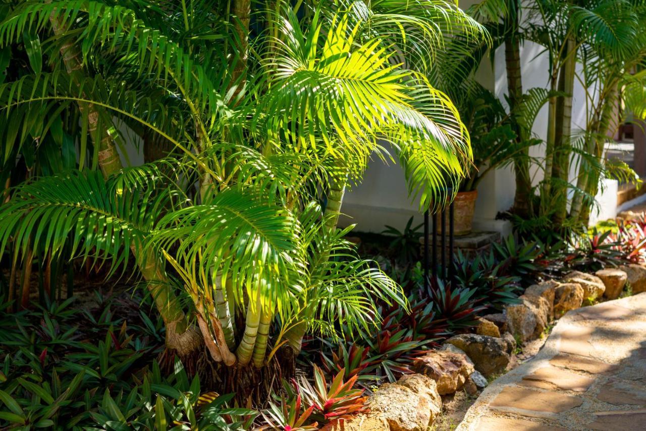 Samui Natien Resort Praia Chaweng Exterior foto